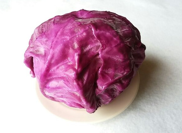 紫キャベツー１