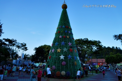 1-グワラレマ広場へ出ました　クリスマスツリー-0096