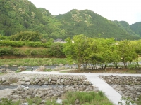 DSCN7107.jpg