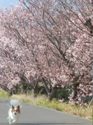 201503186.jpg