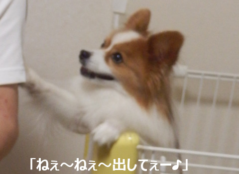 2015061601.jpg