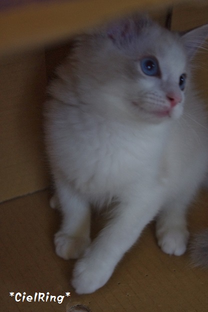 C20150621mIMGP1633.jpg