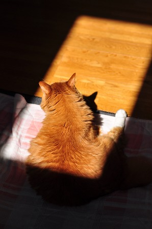 DSC_0199q.jpg