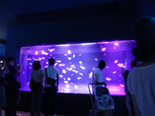 sumida-aquarium-01-041.jpg