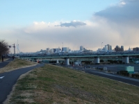 P2060960h.jpg
