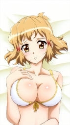 i_316361 bikini_top breast_hold cleavage senki_zesshou_symphogear tachibana_hibiki tagme