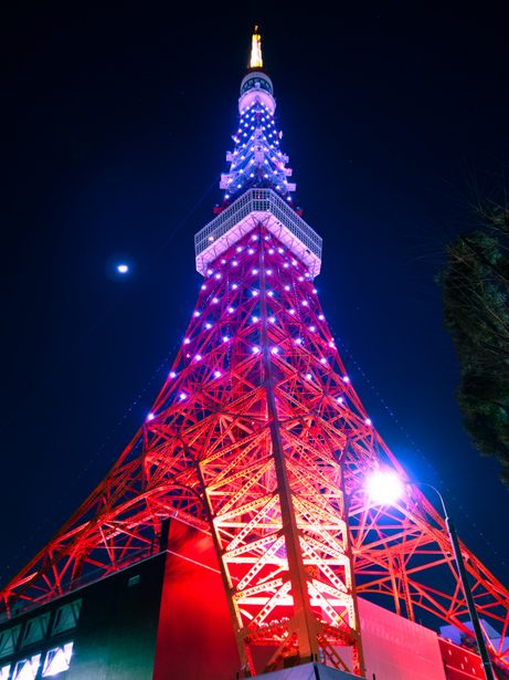 桜色タワー