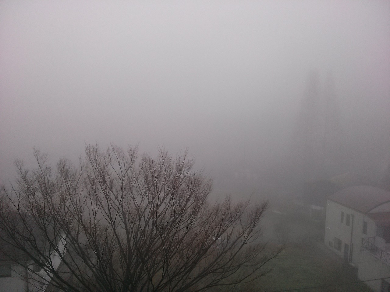 霧②