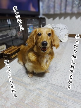 kinako2750.jpg