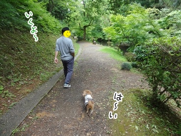 kinako2791.jpg