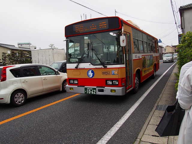P4290208s-.jpg