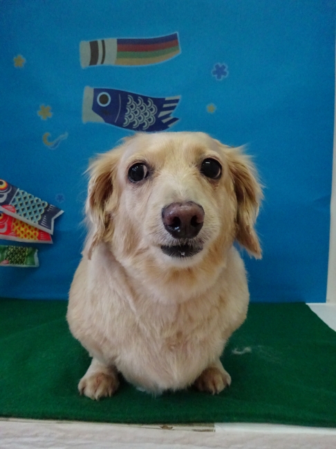 ユー