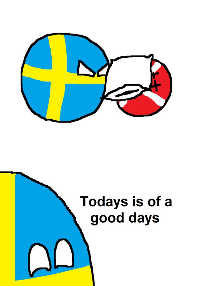 スウェーデンは枕投げが好き (3)