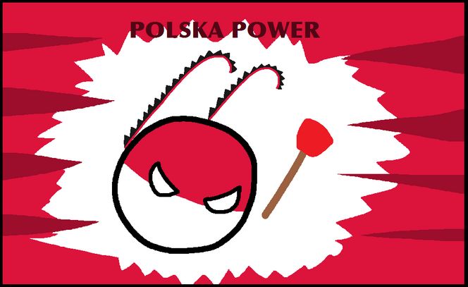 ポーランドの掃除力 (7)
