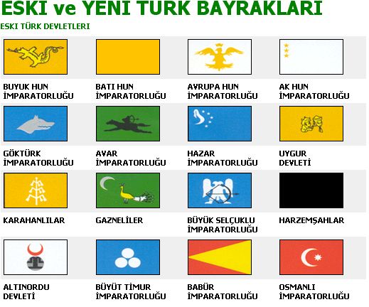 トルコの進化 (14)