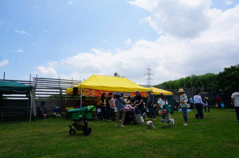 DSC07506 (1)