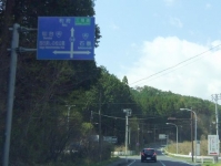 松島西行戻しの松公園2014桜３県道１４４号線