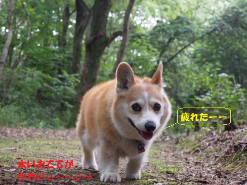 太いおててがかわいぃ節ちゃん