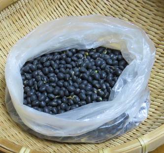 小粒黒豆収穫物