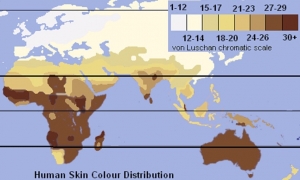肌の色の分布図