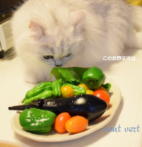 野菜１１