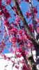 20150214国府津118