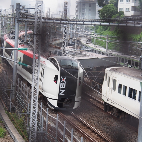 JR東日本 E259系電車 特急「成田エクスプレス」