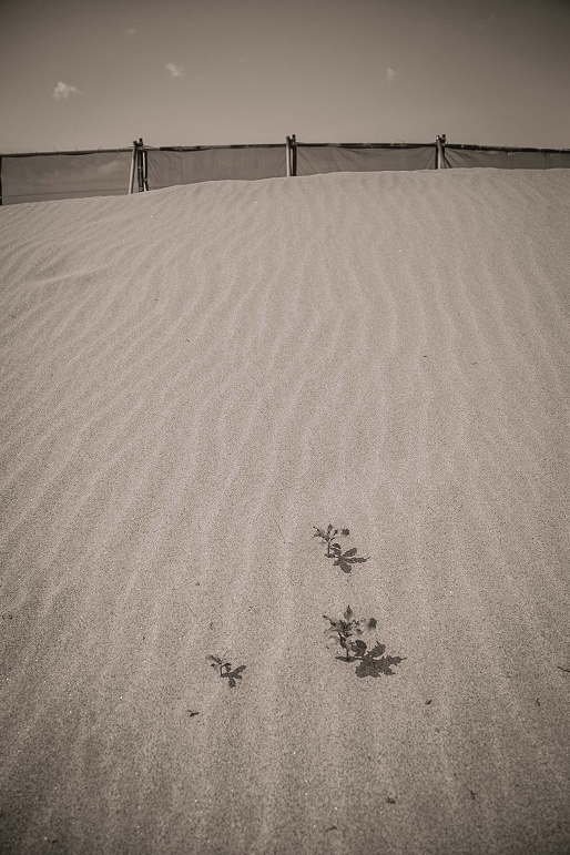 砂の風紋