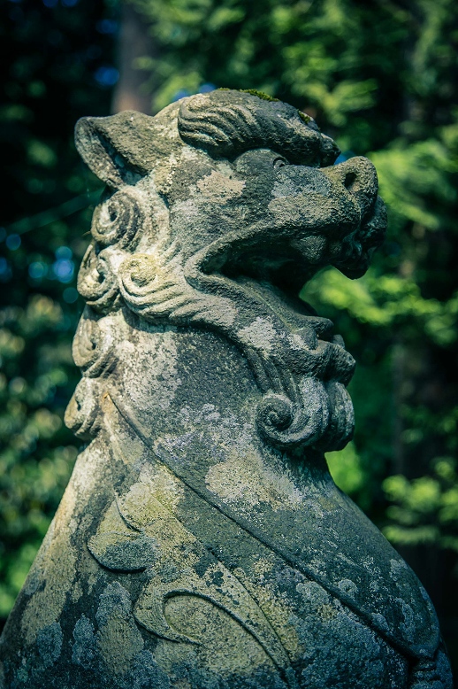 弥彦神社の狛犬、、、、、ゴジラ？
