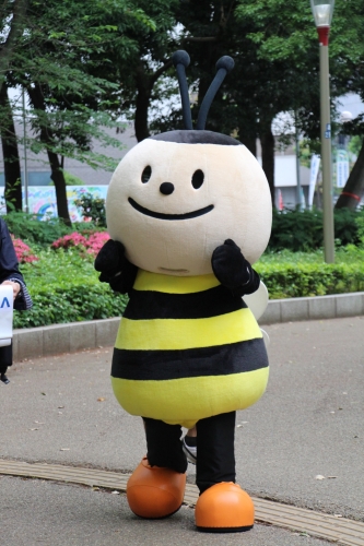 靭公園バラ祭
