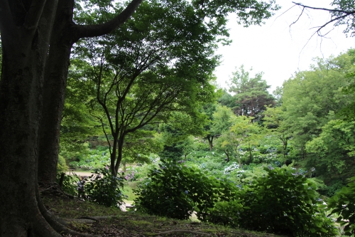 山田池公園