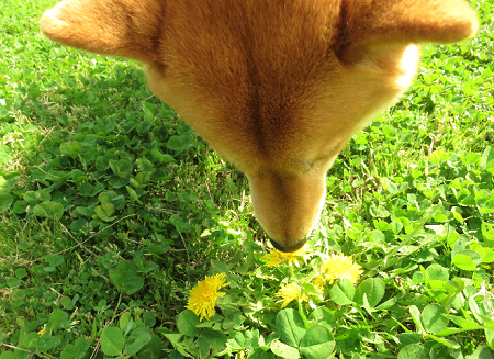 4_20150402225827c99.png